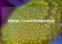 吃鸡必备！PUBG听声辨位耳机选择指南