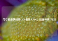 用专属皮肤唤醒CSGO老熟人NPC，陪你并肩作战！