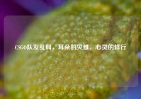 CSGO队友乱叫，耳朵的灾难，心灵的修行