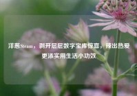 洋葱Steam，剥开层层数字宝库惊喜，辣出热爱更添实用生活小功效