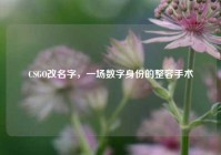 CSGO改名字，一场数字身份的整容手术