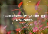 PUBG水麒麟到底是什么枪？从外挂黑梗一路变生存达人专属调侃
