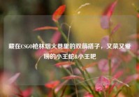 藏在CSGO枪林烟火巷里的双萌搭子，又菜又爱唠的小王蛇&小王吧
