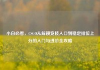 小白必看，CSGO从解锁竞技入口到稳定排位上分的入门与进阶全攻略