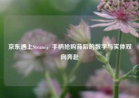 京东遇上Steam，手柄抢购背后的数字与实体双向奔赴