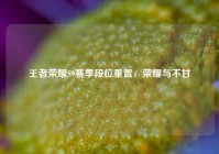 王者荣耀S9赛季段位重置，荣耀与不甘