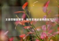 王者荣耀新赛季，版本答案还是熟悉配方？