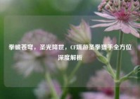 拳破苍穹，圣光降世，CF端游圣拳猎手全方位深度解析