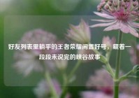 好友列表里躺平的王者荣耀闲置好号，藏着一段段未说完的峡谷故事