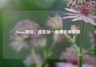 Steam港区，连喜加一都要先查余额