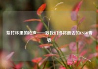 紫竹林里的枪声——致我们终将逝去的CSGO青春