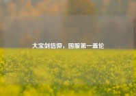 大宝剑信仰，国服第一盖伦