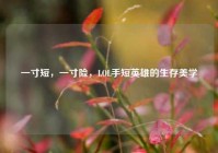 一寸短，一寸险，LOL手短英雄的生存美学
