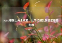 PUBG带妹上分全攻略，从手忙脚乱到温柔带稳吃鸡