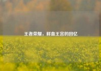 王者荣耀，鲜血王宫的回忆