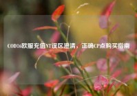 COD16欧服充值NT误区澄清，正确CP点购买指南