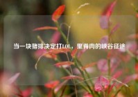 当一块猪排决定打LOL，里脊肉的峡谷征途