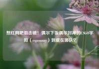 熬红网吧狙击镜！偶尔下饭偶尔封神的CSGO宇阳（csgosunny）到底在哪队？