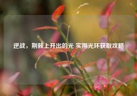 逆战，荆棘上开出的光 实用光环获取攻略