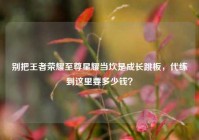 别把王者荣耀至尊星耀当坎是成长跳板，代练到这里要多少钱？