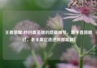 王者荣耀5秒回血英雄的隐藏细节，新手直接略过，老手靠它连逆风都能翻！