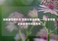 扇底星雪藏软态 微雨轻晕染娥眉——王者荣耀武陵春雪性转诸葛亮
