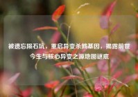 被遗忘陨石坑，重启异变杀戮基因，揭露前世今生与核心异变之源地图谜底