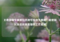王者荣耀专属质检内测号验号大揭秘！能提前玩新皮肤新英雄的工作真相