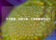 方寸棋盘，决胜千里，王者荣耀操作技巧