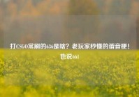打CSGO常刷的636是啥？老玩家秒懂的谐音梗！也说661