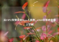 从USP12发弹夹到Major入场券，CSGO平等绝非墙上空喊