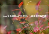 Steam兑换码从入门到避坑，一篇讲透所有门道