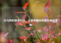 火与风的宿命对决，王者荣耀中的既生瑜何生亮
