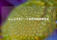 Steam上不去？一个游戏宅的戒断实录