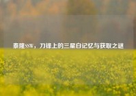 泰隆SSW，刀锋上的三星白记忆与获取之谜