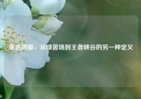 泰达国脚，从绿茵场到王者峡谷的另一种定义