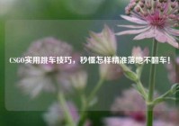 CSGO实用跳车技巧，秒懂怎样精准落地不翻车！