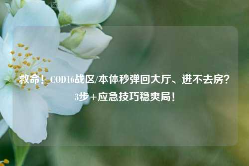 救命！COD16战区/本体秒弹回大厅、进不去房？3步+应急技巧稳爽局！