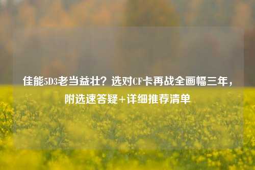 佳能5D3老当益壮？选对CF卡再战全画幅三年，附选速答疑+详细推荐清单