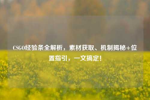 CSGO经验条全解析，素材获取、机制揭秘+位置指引，一文搞定！