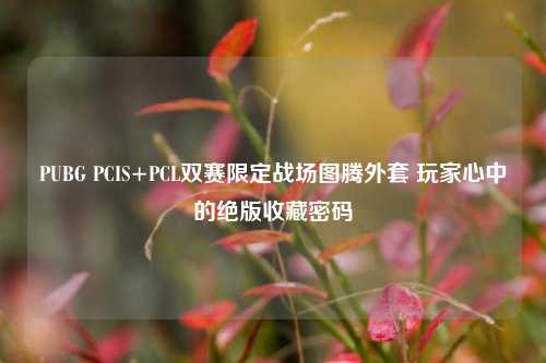 PUBG PCIS+PCL双赛限定战场图腾外套 玩家心中的绝版收藏密码