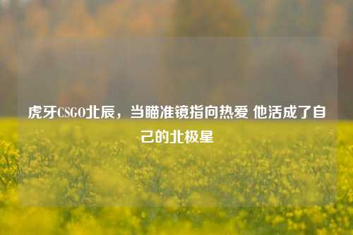 虎牙CSGO北辰，当瞄准镜指向热爱 他活成了自己的北极星