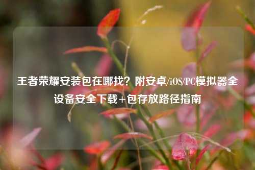 王者荣耀安装包在哪找？附安卓/iOS/PC模拟器全设备安全下载+包存放路径指南