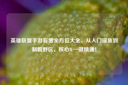 英雄联盟手游盲僧全方位大全，从入门摸鱼到制霸野区，核心W一键精通！