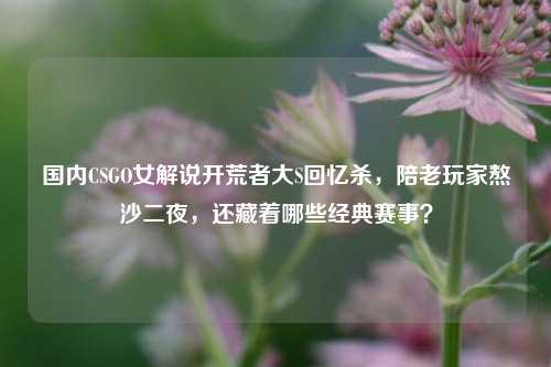 国内CSGO女解说开荒者大S回忆杀，陪老玩家熬沙二夜，还藏着哪些经典赛事？