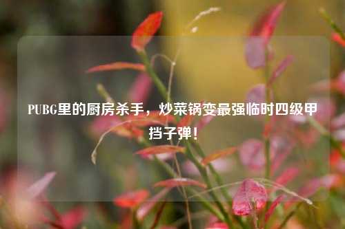 PUBG里的厨房杀手，炒菜锅变最强临时四级甲挡子弹！