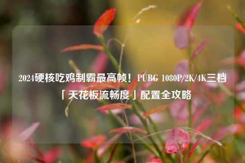 2024硬核吃鸡制霸最高帧！PUBG 1080P/2K/4K三档「天花板流畅度」配置全攻略