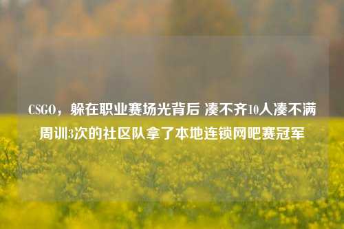 CSGO，躲在职业赛场光背后 凑不齐10人凑不满周训3次的社区队拿了本地连锁网吧赛冠军