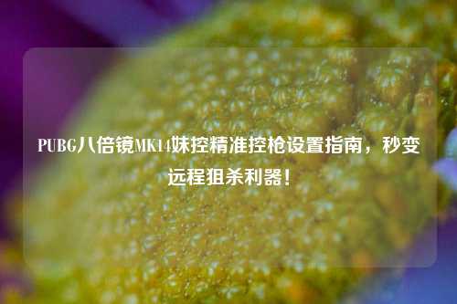 PUBG八倍镜MK14妹控精准控枪设置指南，秒变远程狙杀利器！