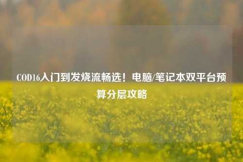 COD16入门到发烧流畅选！电脑/笔记本双平台预算分层攻略